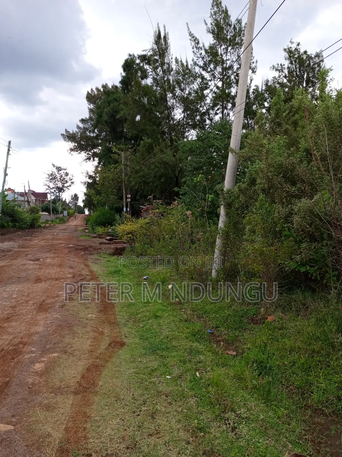 Thome 1 , 1/2 Acre Residential Plot