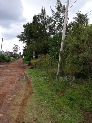 Thome 1 , 1/2 Acre Residential Plot