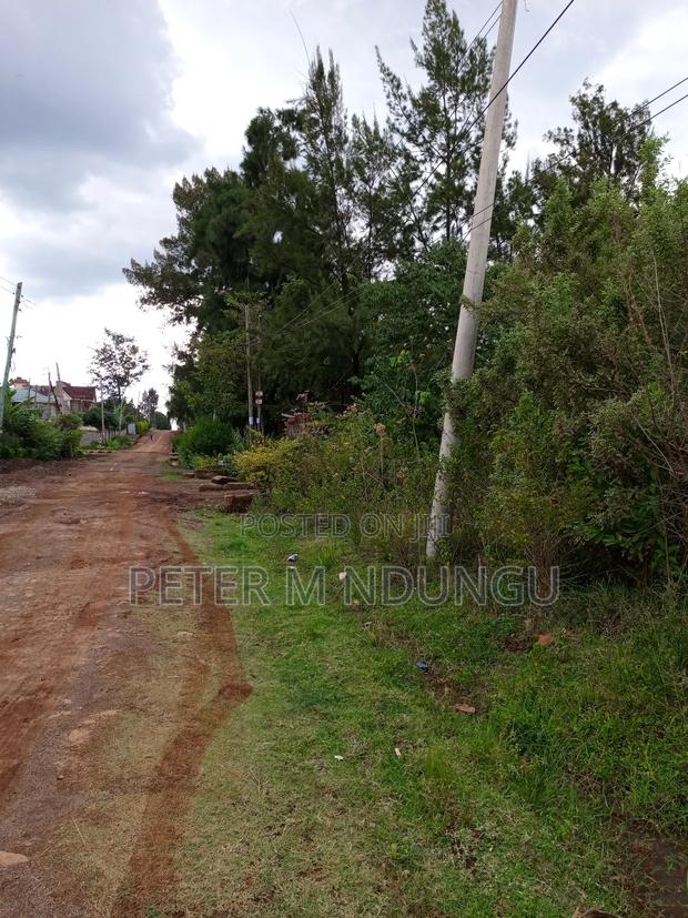Thome 1 , 1/2 Acre Residential Plot - thumbnail 3