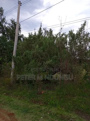 Thome 1 , 1/2 Acre Residential Plot