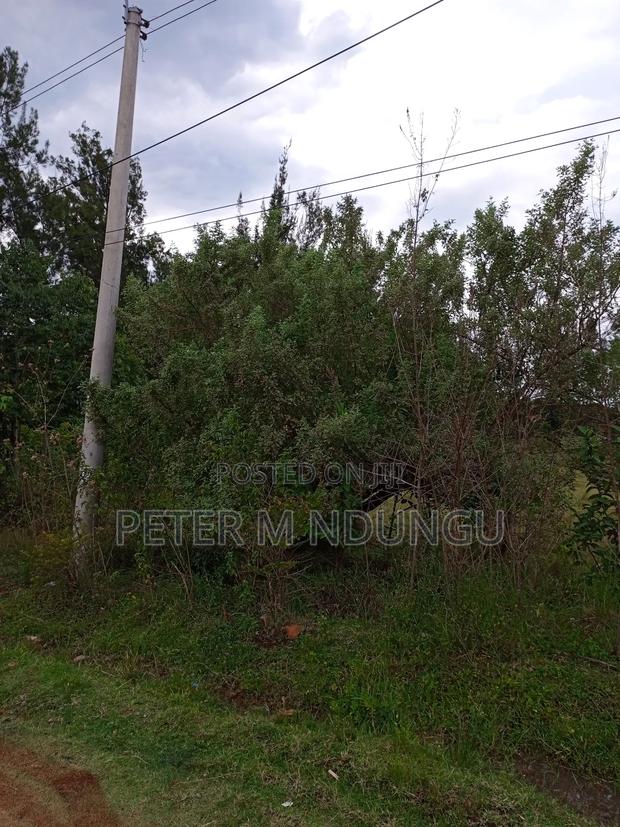 Thome 1 , 1/2 Acre Residential Plot - thumbnail 4