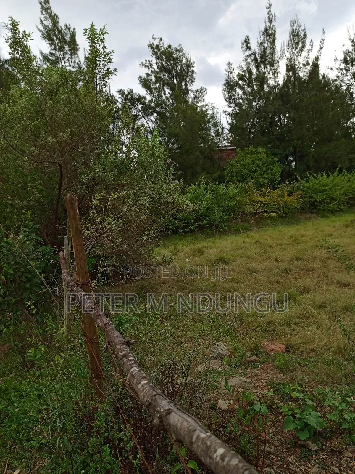 Thome 1 , 1/2 Acre Residential Plot