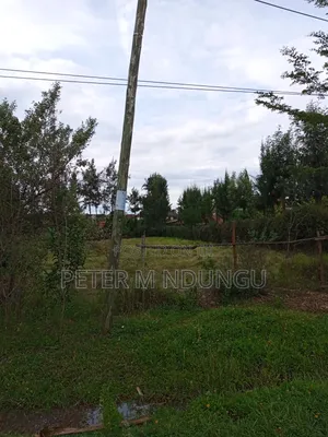 Thome 1 , 1/2 Acre Residential Plot