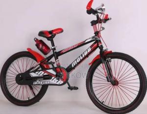 Lucky Light Molib 20" (518#20) - thumbnail 2