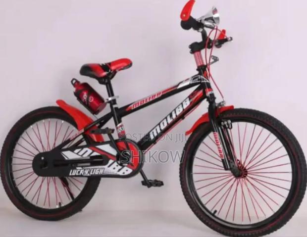 Lucky Light Molib 20" (518#20) - main view