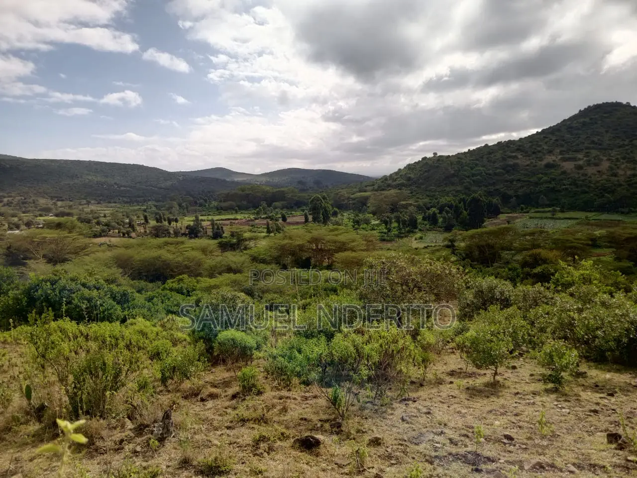 0.25 Acre (100 by 100) for Sale in Ngobit 1.5km From Tarmac