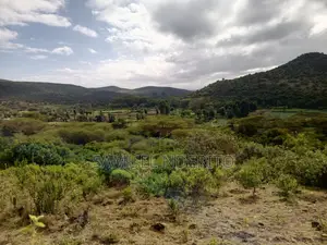 0.25 Acre (100 by 100) for Sale in Ngobit 1.5km From Tarmac