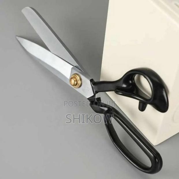 10" Scissors - main view