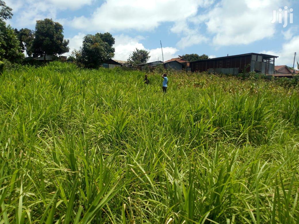 Rironi Prime Land For Sale
