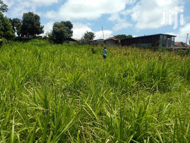 Rironi Prime Land For Sale - thumbnail 4