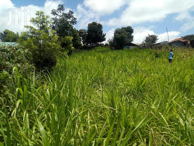 Rironi Prime Land For Sale