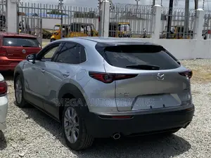 Mazda CX-30 2020 Silver