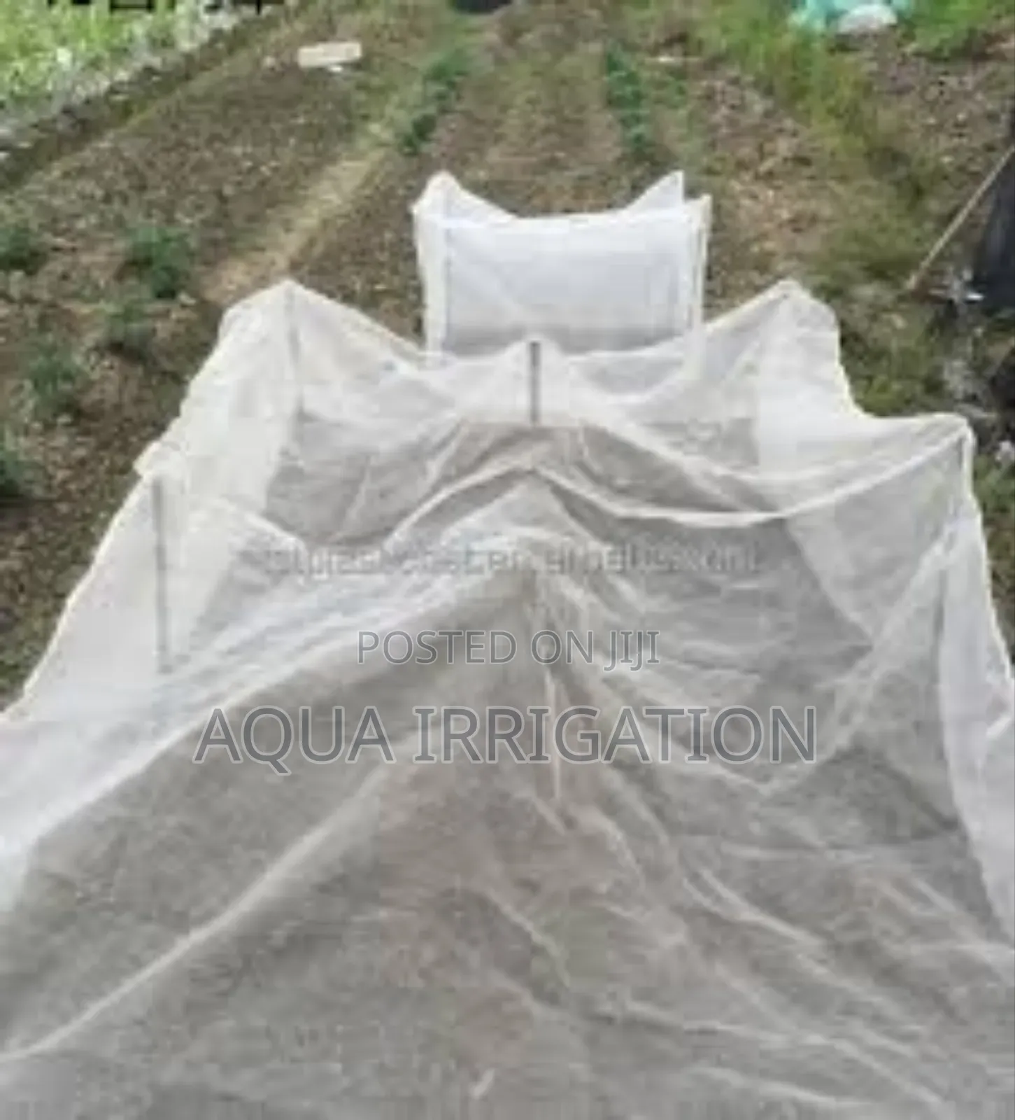 Affordable Insect Nets for Maximum Crop Protection