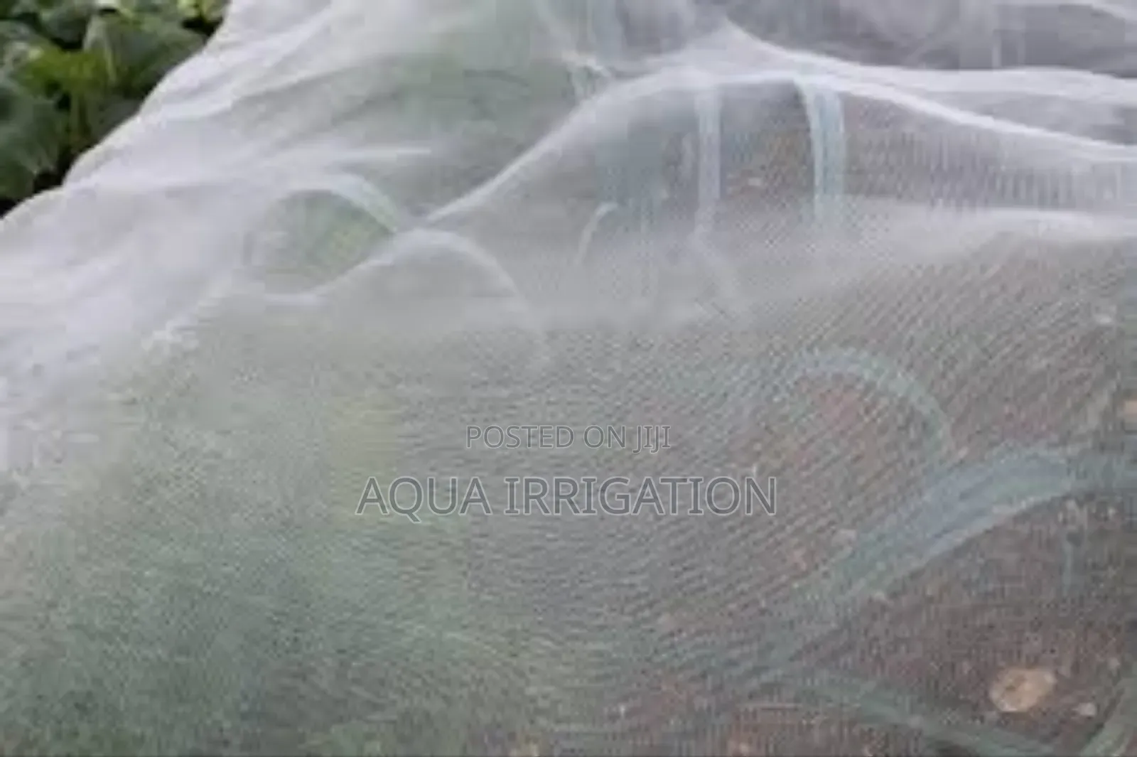 Keep Insects Away, Let Your Crops Thrive!