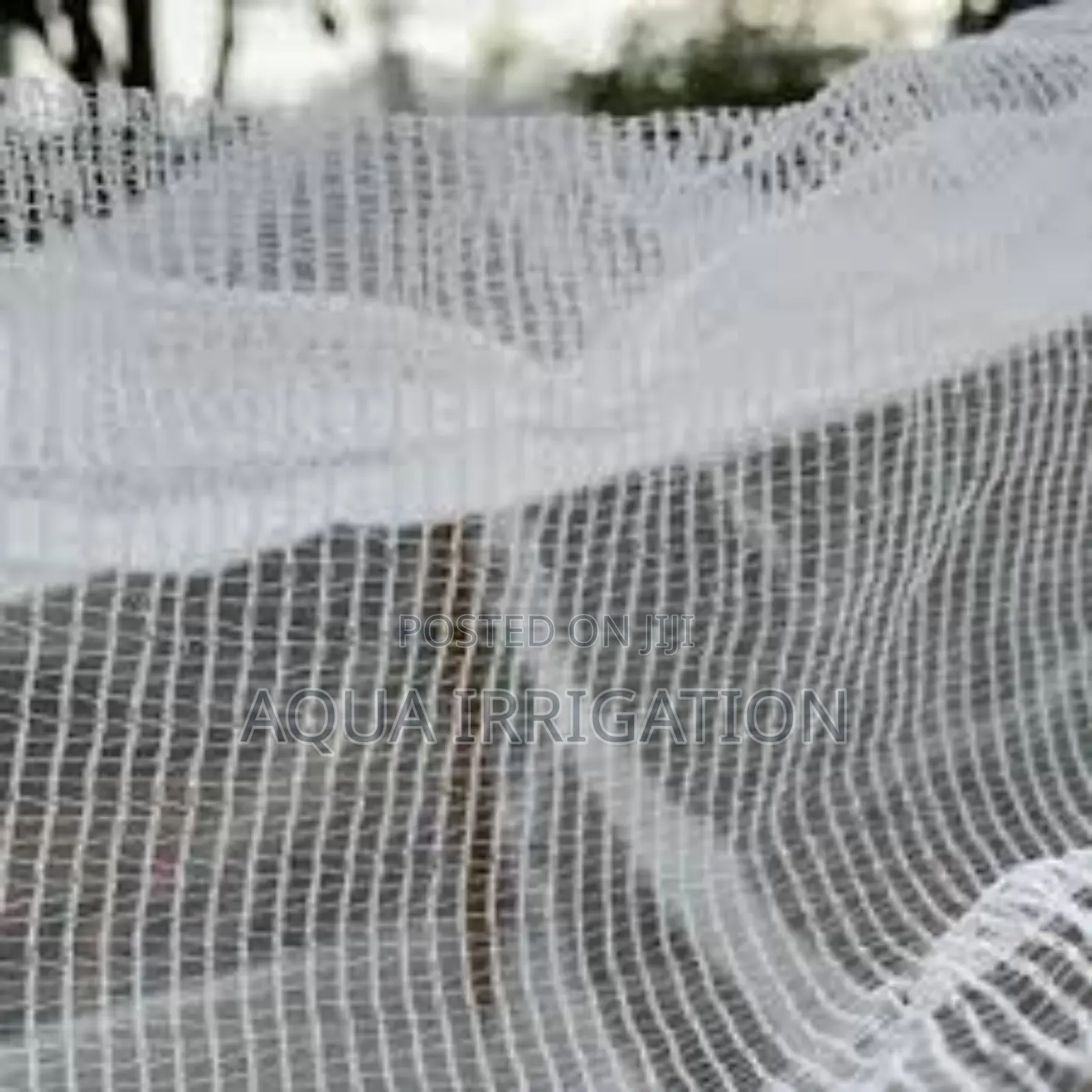 Grow More, Worry Less – Install Insect Nets Today