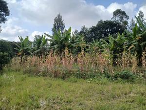 Redsoil Quarter Acre Plot Near Saitoti's Place, Kahara Rd - thumbnail 2