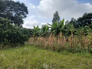 Redsoil Quarter Acre Plot Near Saitoti's Place, Kahara Rd