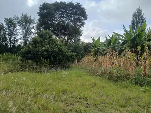 Redsoil Quarter Acre Plot Near Saitoti's Place, Kahara Rd