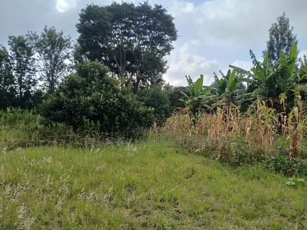 Redsoil Quarter Acre Plot Near Saitoti's Place, Kahara Rd - thumbnail 4