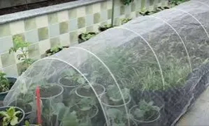 Worried About Pests? Our Insect Nets Help