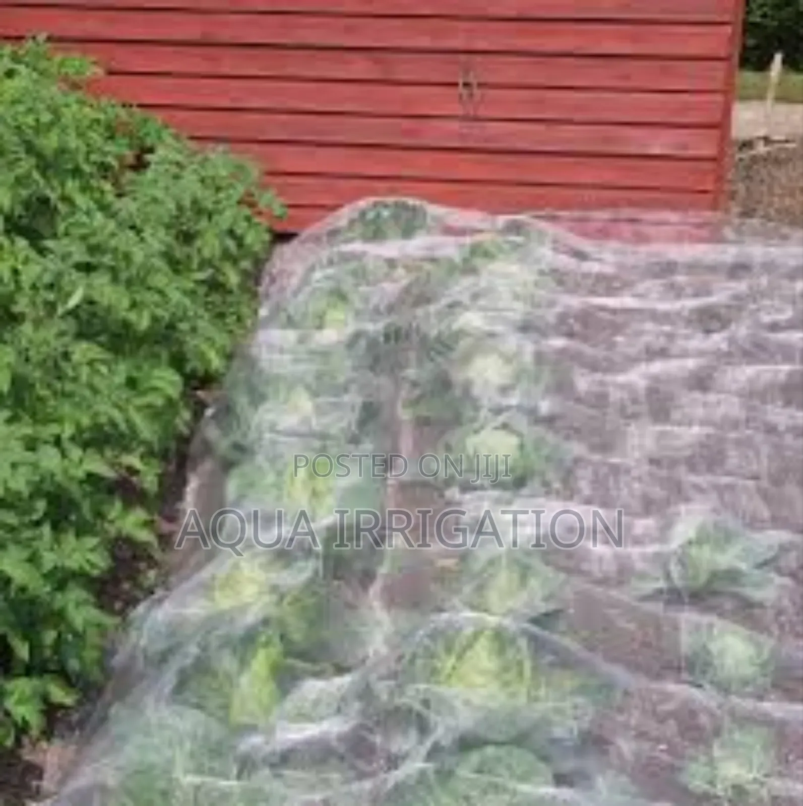 Reduce Pesticides, Use Insect Nets Instead