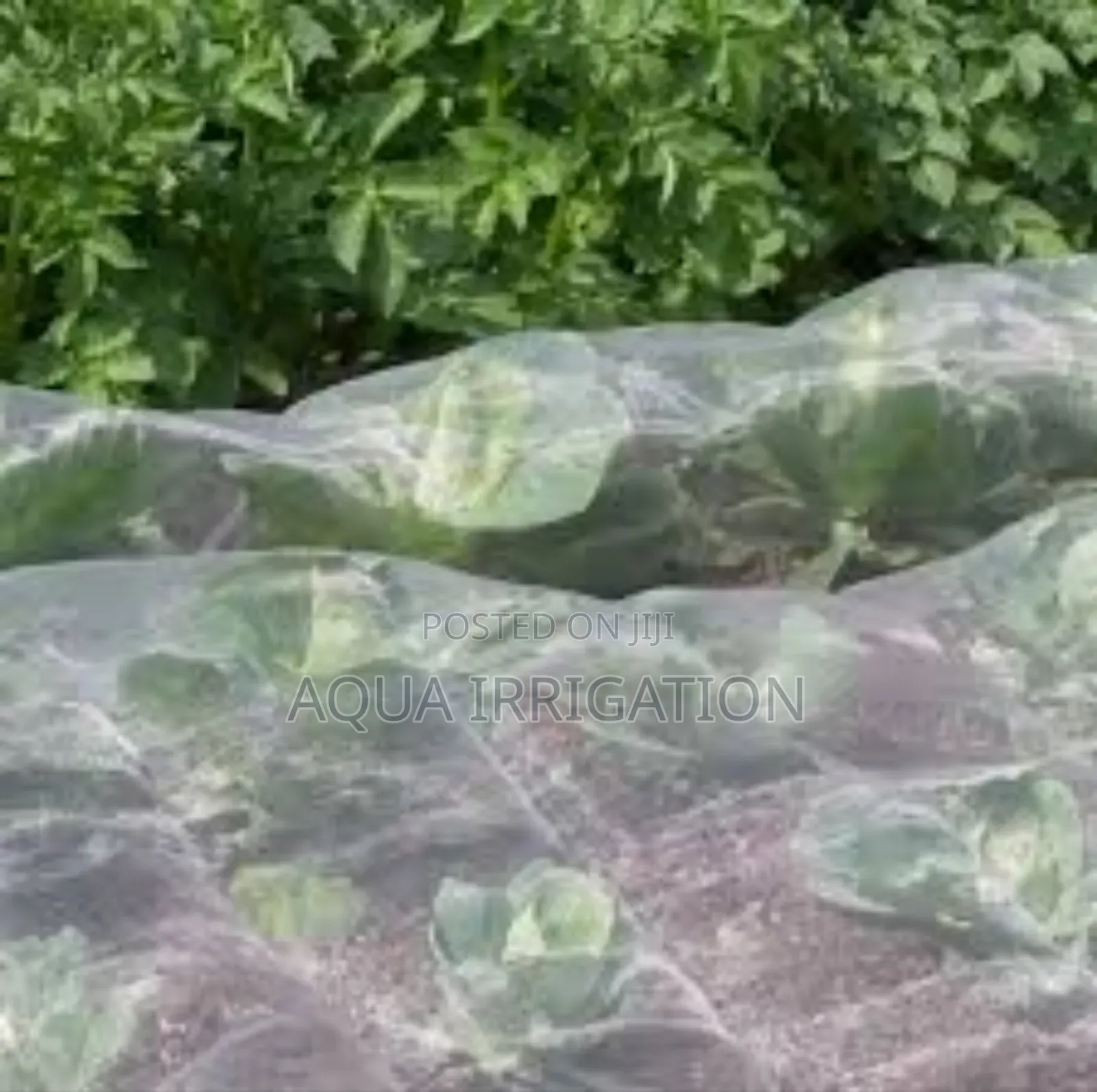 Affordable Insect Nets for All Crop Types!