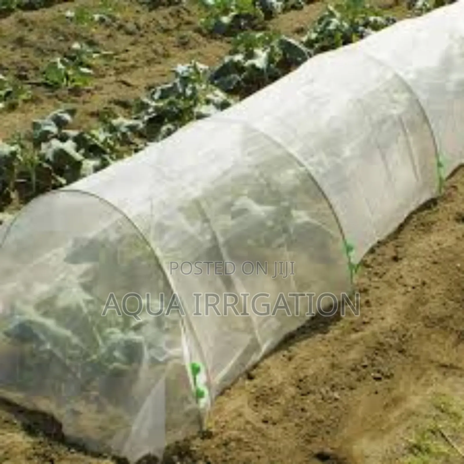 Control Pests Naturally With Our Insect Nets