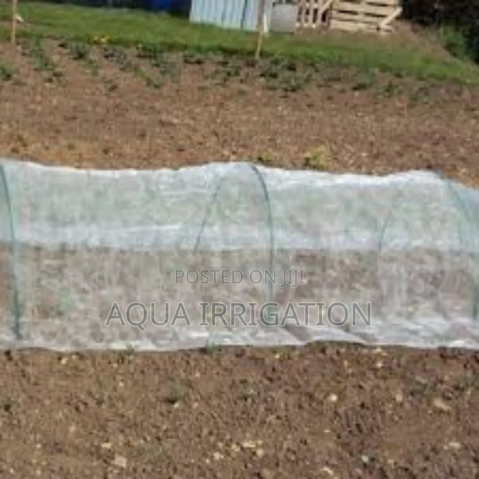 Keep Pests Away Maximize Your Harvest