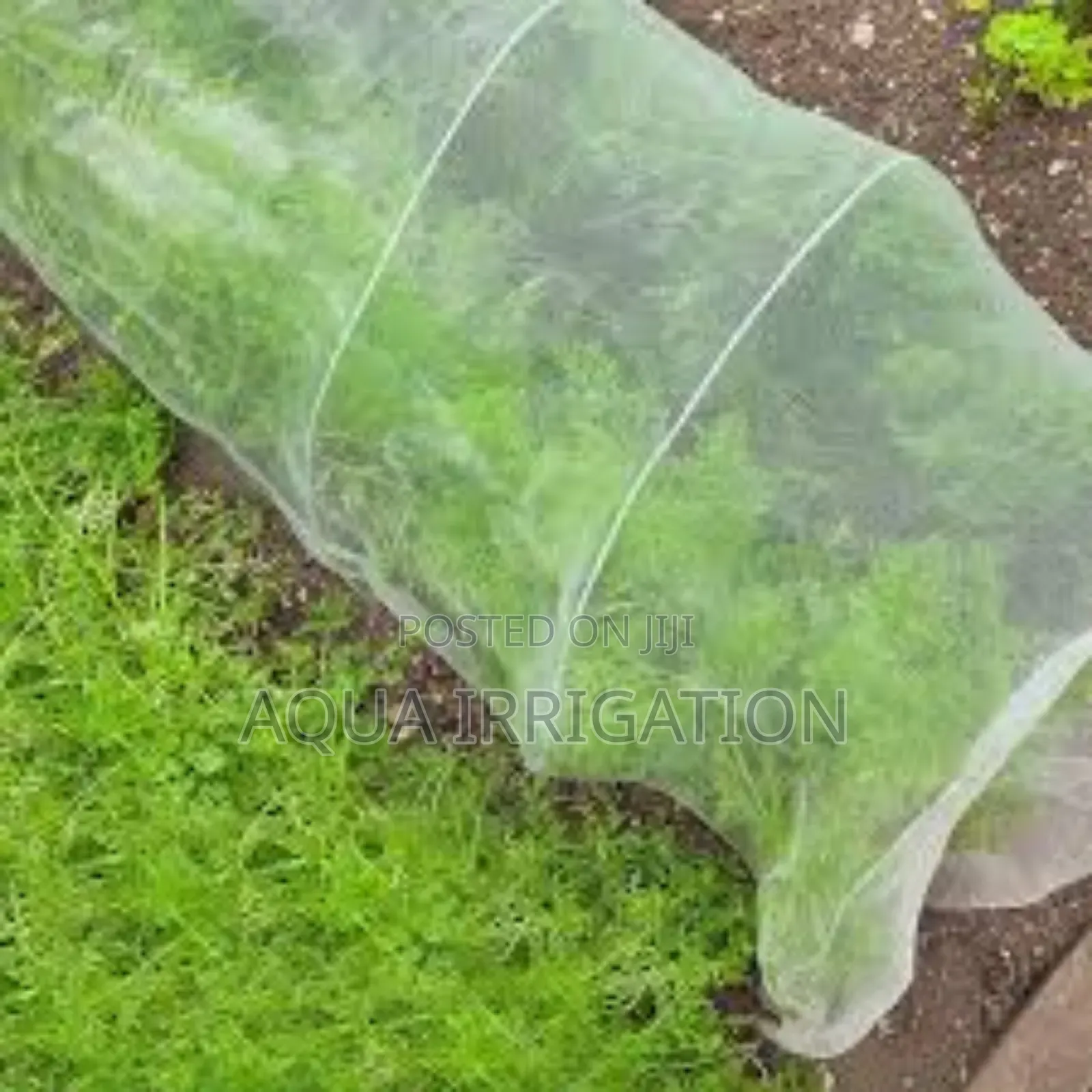 Top-Quality Insect Nets – Order Yours Today!