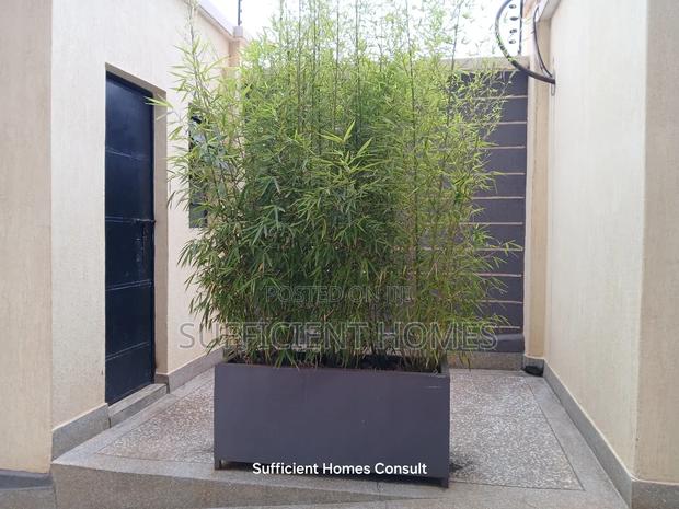 1bdrm Apartment in Ruaka for rent - thumbnail 16