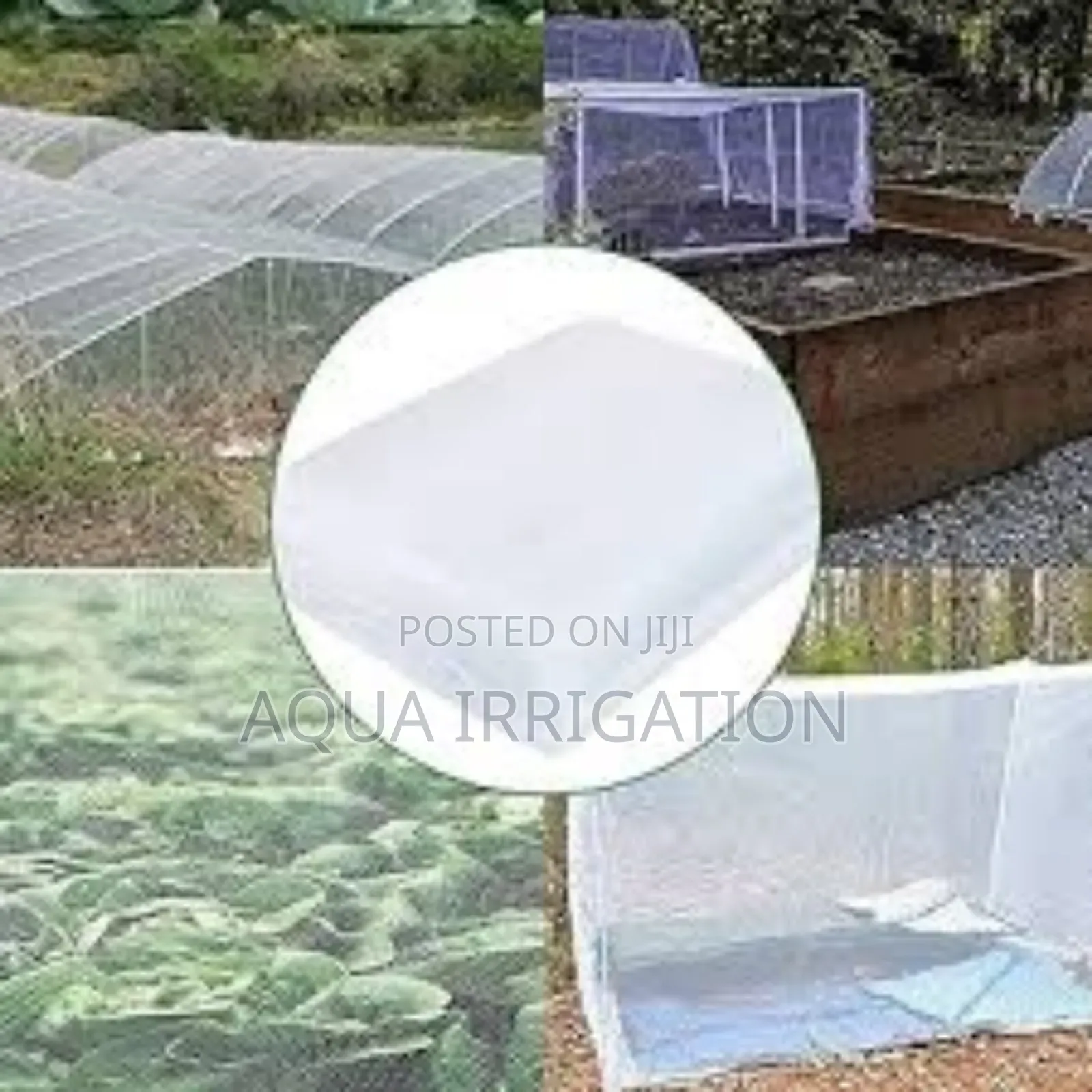 Say No to Insects Yes to Bigger Harvests