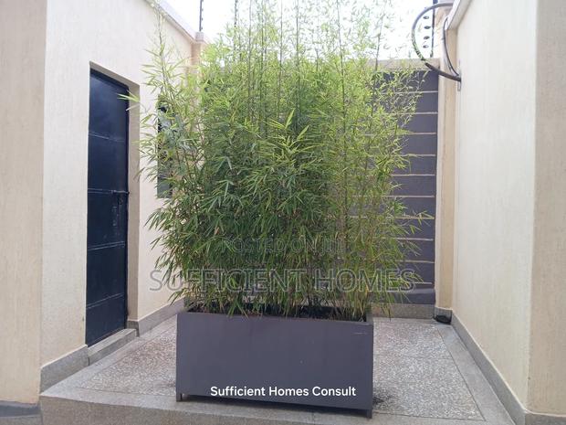 2bdrm Apartment in Ruaka for rent - thumbnail 5