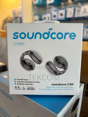 Anker Soundcore C30i Open-Ear Earbuds