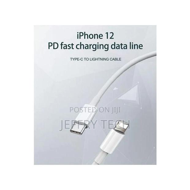 Type C Usb to iPhone Lightning Cable - main view