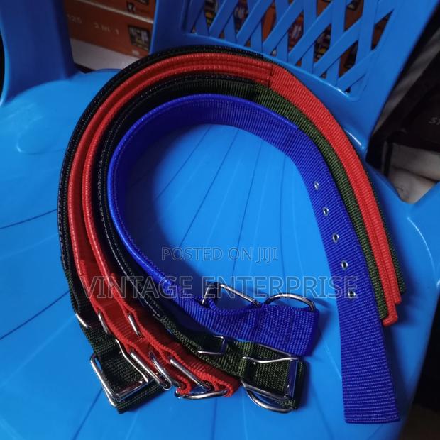 Dog Collar* Dog Neck Collar - main view