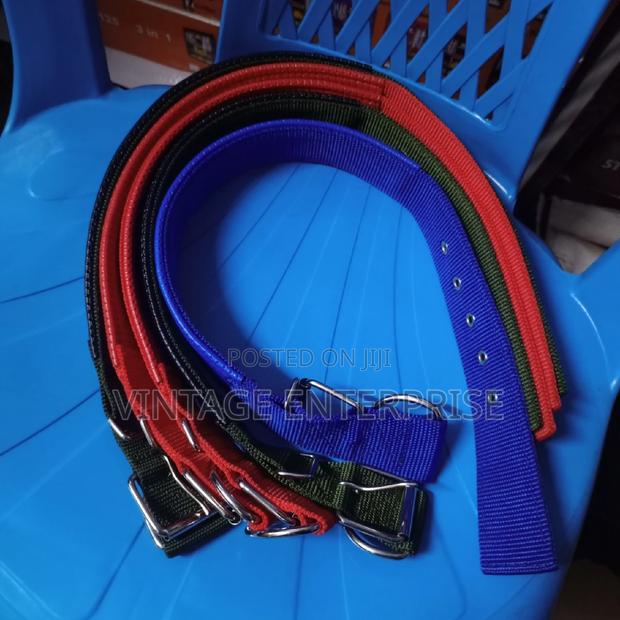 Dog Collar* Dog Neck Collar - thumbnail 3