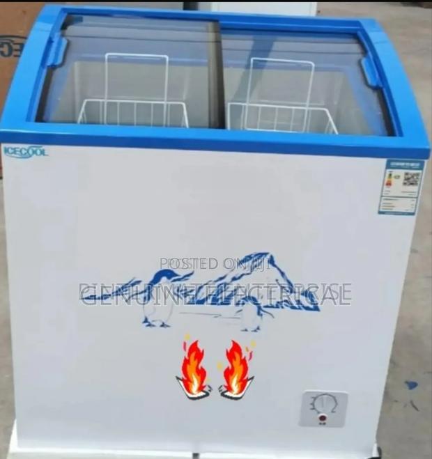 Ecomax 159litres Display Freezer - main view
