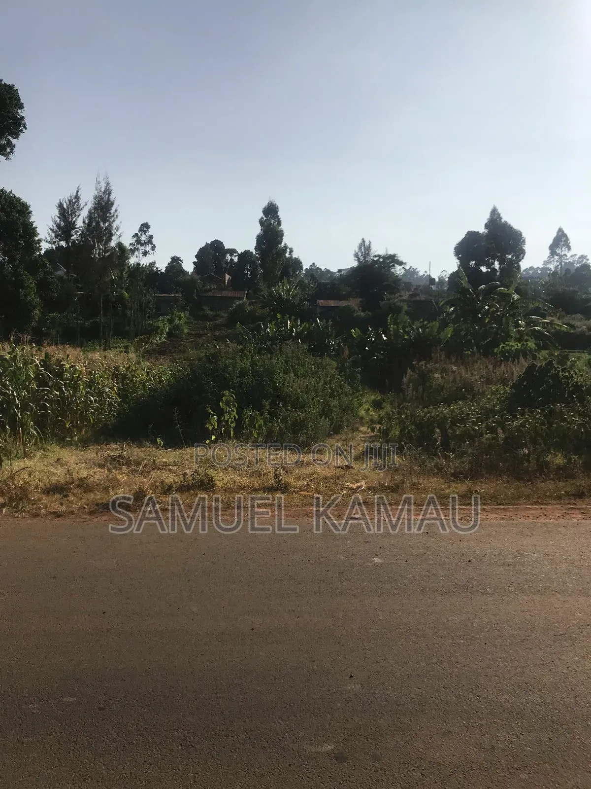 Wangige Kaimba Half Acre on Tarmac