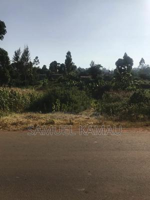 Wangige Kaimba Half Acre on Tarmac - main view