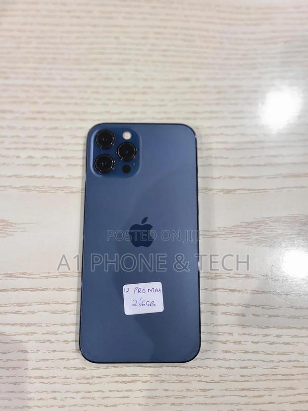 Apple iPhone 12 Pro Max 256 GB Blue