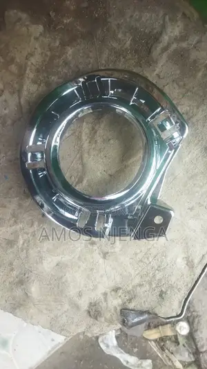Axio 2012 Chrome Foglights Cover