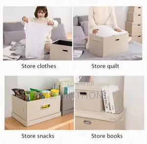 Multi-Purpose Closet/Books/Toys /Clothes Organizer*