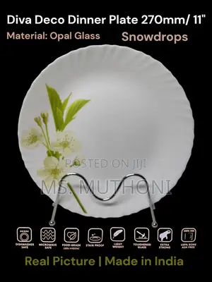 6 Pc Beautiful 11” Opal Dinner Plates