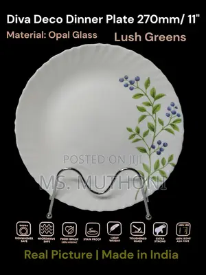 6 Pc Beautiful 11” Opal Dinner Plates