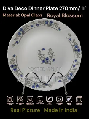 6 Pc Beautiful 11” Opal Dinner Plates