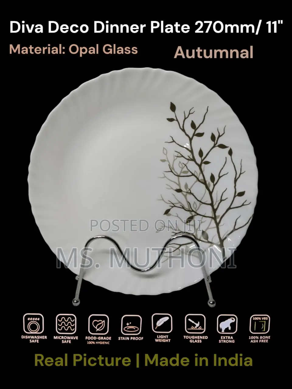 6 Pc Beautiful 11” Opal Dinner Plates