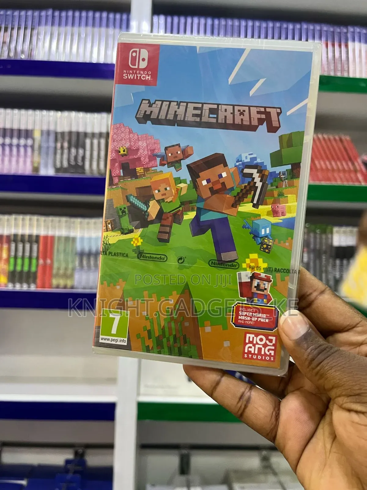 Minecraft Nintendo Switch