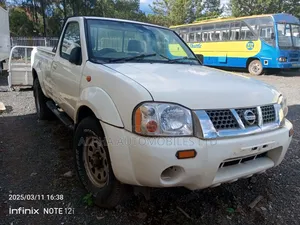 Nissan Hardbody 2010 White