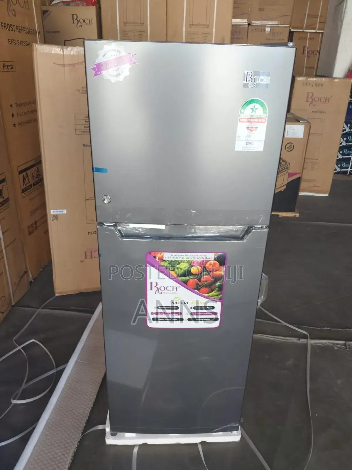 Roch 175-Dt-I Double Door Refrigerator, 138l - Silver