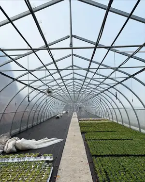Greenhouse Construction